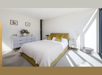 Roomgo UK -  Rooms available for rent in Seven sisters, North London , Tottenham Hale - £880 pcm