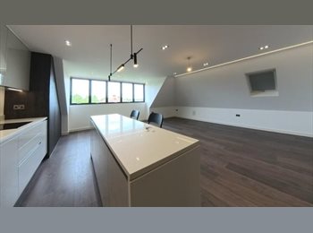 Roomgo UK - High-Spec 2-Bed Apartment to Rent – Golders Green NW11, Golders Green - £2,600 pcm