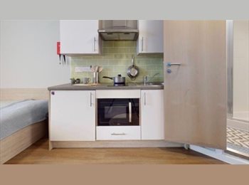 Roomgo UK - Studio available, Kingston upon Thames, Kingston upon Thames - £1,521 pcm