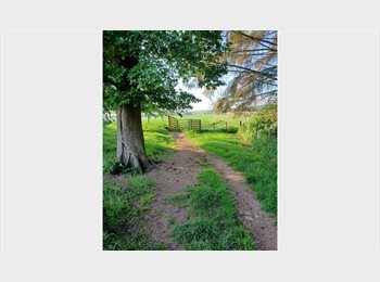 Roomgo UK - Students Accommodation, Exclusively Discounted, Warm, Clean, Non-Smoker, Mid-Terraced House, Excelle, Clydebank - £450 pcm