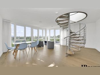 Roomgo UK - Join Our Cozy Modern Penthouse Flat (with amenities), Manor House - £1,350 pcm