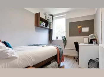 Roomgo UK - Student Accomodation - The helix - Bronze Ensuite, Wembley Park - £1,191 pcm
