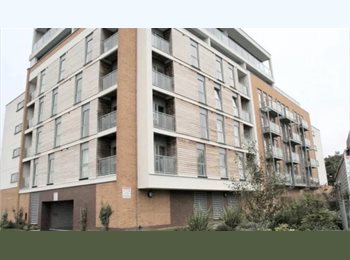 Roomgo UK - Muslim flat mate required, Castlefield - £500 pcm