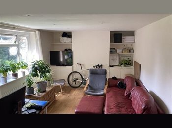 Roomgo UK - Room available in Barnes SW13, Barnes - £820 pcm