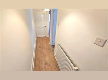Roomgo UK - Large double high ceiling room  in bright victorian garden flat., Speedwell - £630 pcm