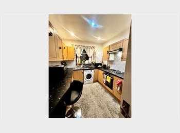 Roomgo UK - Sharing Double Room, Brent Cross - £520 pcm