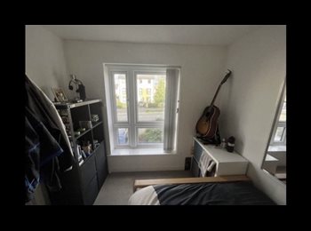 Roomgo UK - Room in a Shared House, Willowherb Road, BS16, Fishponds - £407 pcm