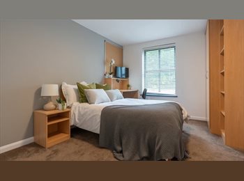 Roomgo UK - Tenancy Takeover - Ensuite Student Room - Adjacent to Streatham Campus Exeter, Exeter - £1,005 pcm