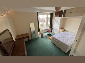 Roomgo UK - Large Room available to rent immediately, Exeter - £500 pcm