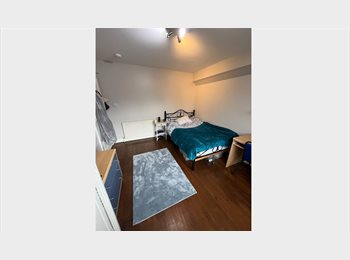 Roomgo UK - Double Room with private bathroom in Dunkirk, Lenton - £142 pcm