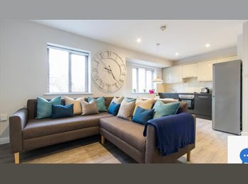 Roomgo UK - uni flatshare hyde park, Hyde Park - £585 pcm