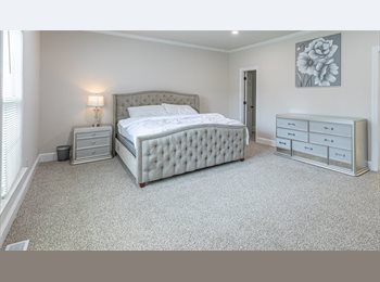 Roomgo US - Room for Rent – Newly Renovated Home, Florence - $720 pm