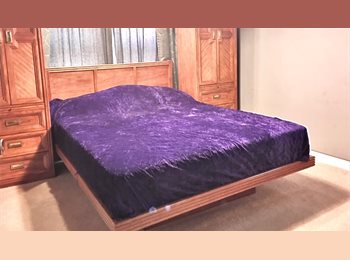 Roomgo US - Need furnished with parking?     Got (or like) a dog?, North Austin - $1,000 pm