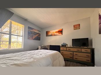 Roomgo US - Quiet Bedrooms in South Austin – Ideal for professional or Grad or International Students, Oak Hill - $750 pm