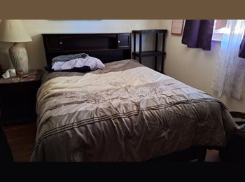 Roomgo US - Room for rent, New Port Richey - $800 pm