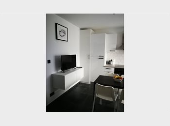 Appartager BE - petit appartement meublé, Manage - 550 € pm