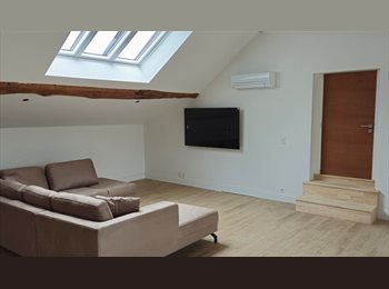 Appartager BE - Colocation à Liège, Liège - 500 € pm