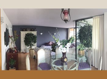 CompartoDepto CL - Amplio, bien ubicado, ordenado y buena onda.a.a.a.a., Vitacura - CH$500.000 por mes