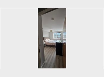 Roomgo IE - Looking for quiet and clean Flatmate, Dublin - €1,200 pcm
