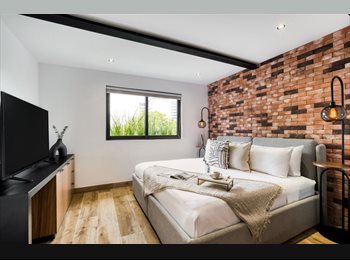 Roomgo MX - Mérida - 1BR, Cuauhtémoc - MX$77,469 por mes