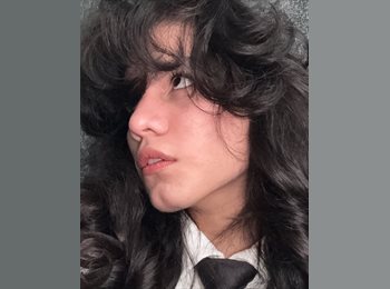 Roomgo MX - Harold  - 18 - Monterrey