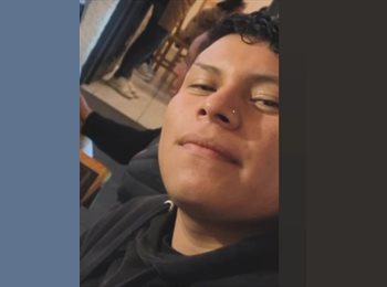 Roomgo MX - Julio cesar Menjivar  - 22 - Miguel Hidalgo