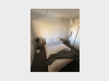 Roomgo NZ - Perfect Parnell Pad, Auckland - $260 pw