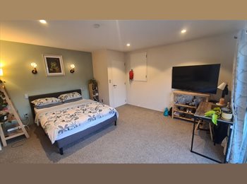 Roomgo NZ - Huge sunny ensuite room Takapuna, Auckland - $398 pw