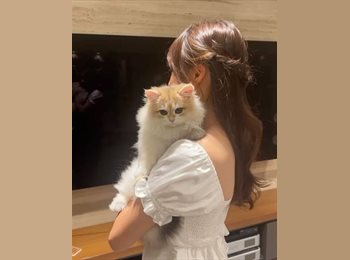 Roomgo SG - Zaibo - 35 - Jurong East