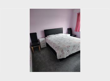 Roomgo UK - Room To Rent Southend On Sea, Southend-on-Sea - £160 pcm