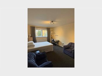 Roomgo UK - Spacious King Room - Euston / King's Cross, Somerstown - £1,150 pcm