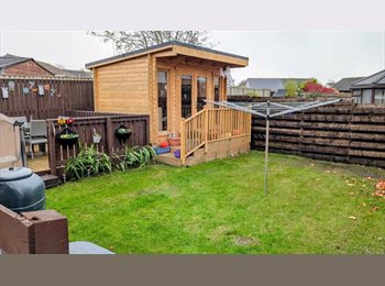 Roomgo UK - Rooms to rent, Forfar - £550 pcm