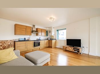 Roomgo UK - Large bedroom available in a modern two-bedroom flat with a shared living room and bathroom, Clapham - £1,050 pcm