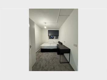 Roomgo UK - 2 Spacious Rooms in Flat Share in Bermondsey, Bermondsey - £900 pcm