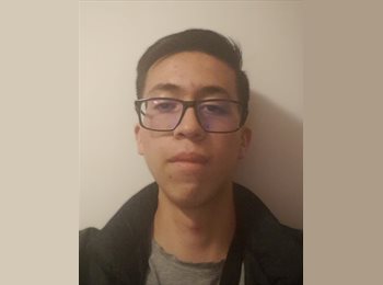 Roomgo AR - Francisco - 19 - Buenos Aires