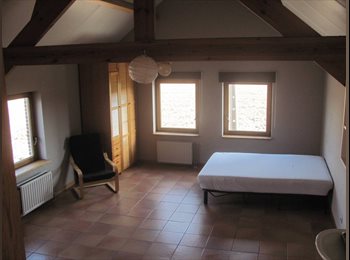 Appartager BE - Grote kamer / Grande chambre à la campagne, Hoegaarden - 550 € pm