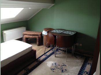Appartager BE - Arlon Chambre meublée EUR 500 - Idéal pour navetteur travaillant au Luxembourg, Arlon - 500 € pm