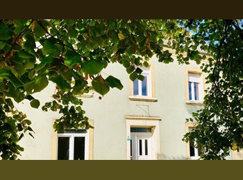 Appartager BE - Colocation 5 chambres à 35 minutes de Luxembourg ville, Attert - 595 € pm