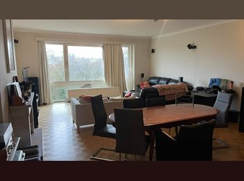 Appartager BE - Colocation à Schaerbeek (Meiser) : Chambre 14m² avec SDB semi-privative, Schaerbeek Schaarbeek - 650 € pm