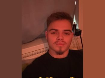 Appartager BE - Alexis - 19 - Grâce-Hollogne