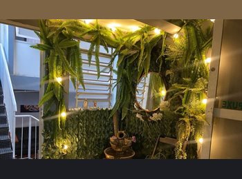 Roomgo BR - HOSTEL J.F 2.0, Saúde - R$ 900 Por mês