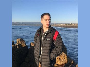 Roomgo BR - Felipe Predic - 30 - Estácio