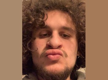 Roomgo BR - Zacharia  - 24 - Maracanã