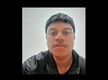 Roomgo BR - Igor  - 20 - Jardim Paulista