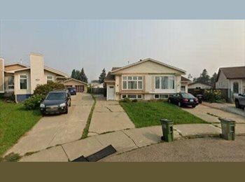 Roomgo CA -  Room for Rent – House [Northeast], Edmonton - $575 pcm