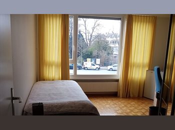 Roomgo CH - Grande chambre de 18m2, avec douche & wc (séparé) privative, Genève - 800 CHF / Mois