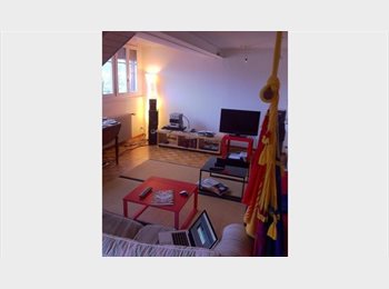 Roomgo CH - Collocation à Carouge, Genève - 1 000 CHF / Mois