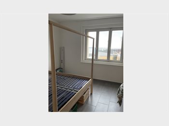 Roomgo CH - Chambre 17m2 en colocation Neuchâtel, Neuchâtel - 850 CHF / Mois