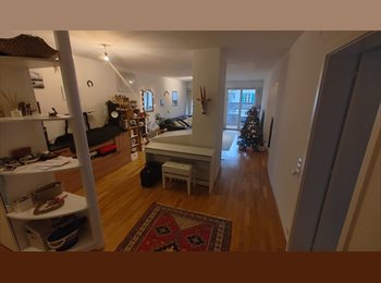 Roomgo CH - 1 chambre meublée à sous-louer, Bern - 1 000 CHF / Mois