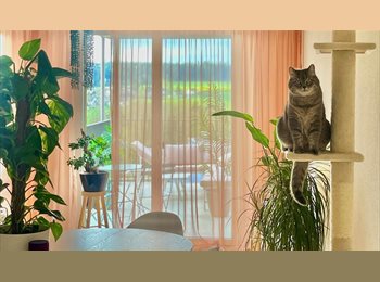 Roomgo CH - Zimmer in ruhiger Umgebung, Zürich - 1 500 CHF / Mois